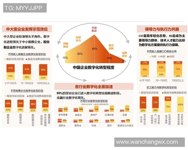 上海羽毛球队快速转型背后的故事与未来展望