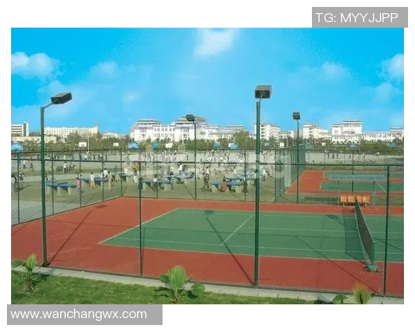 南京羽毛球队在钻石联赛中的心理素质分析与表现评估