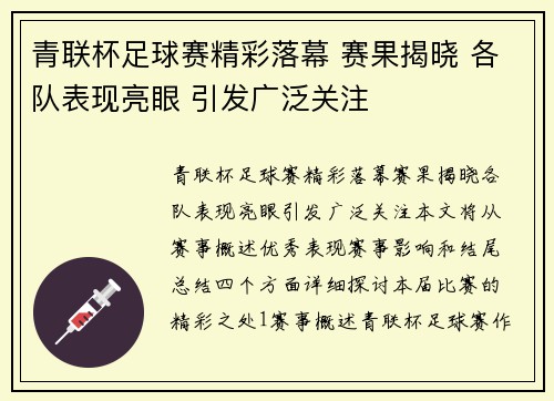 青联杯足球赛精彩落幕 赛果揭晓 各队表现亮眼 引发广泛关注